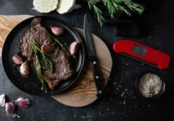 Thermapen One Thermometer, Blau -Ausgewählte Küchengeschäfte eti thermapen one thermometer 33