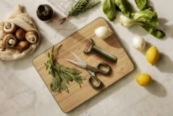 Eva Solo Green Tool Schere -Ausgewählte Küchengeschäfte eva solo green tool schere 1