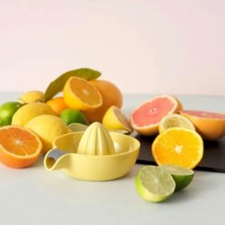 RIG TIG Juicy Zitronenpresse 7 RIG TIG Juicy Zitronenpresse -Ausgewählte Küchengeschäfte rig tig juicy 1